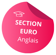 Section euro anglais
